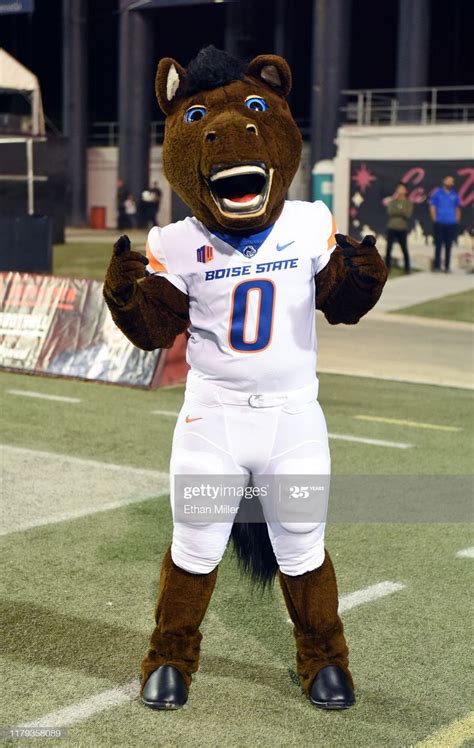 the boise state football team mascot poses on the field