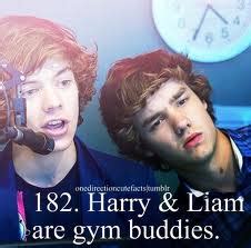 liam and harry - Harry Styles vs. Liam Payne Photo (30585847) - Fanpop