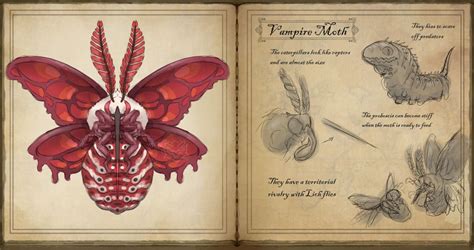 Vampire Moth by BangBooDoragon on DeviantArt | การออกแบบตัวละคร, สัตว์ ...