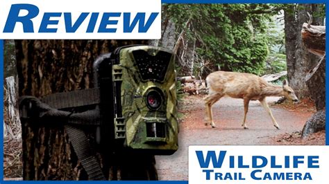 Wildlife Trail Camera in Depth Review - YouTube