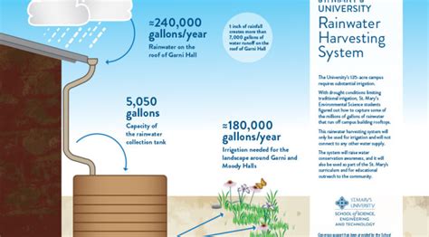 University Adds Rainwater Collection System for Irrigation - RainBank