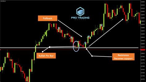 Pin Bar Trading Strategies that Work - Pro Trading School