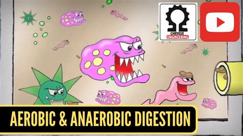 Aerobic Digestion and Anaerobic Digestion - YouTube