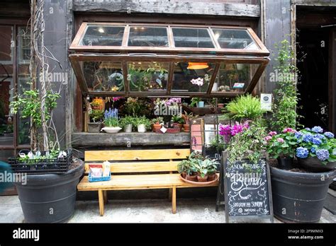 Plants and Flowers growing over a restaurant or cafe. Vintage exterior of entrance with bench ...