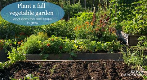 Plant a Fall Vegetable Garden with These Hardy Crops