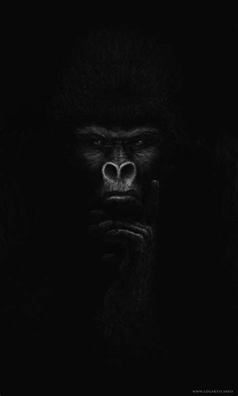 Pin by ꧁𝕾𝖚ɳ𝕾𝖍𝖎ɳ𝖊꧂ on COLOR Black | Gorilla wallpaper, Gorilla tattoo, Gorillas art