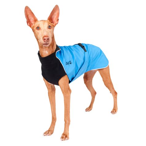 Chilly Dog Coats | Asklar Labradors