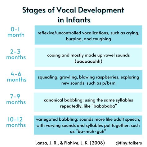 Stages of Vocal Development in Infants — Tiny Talkers