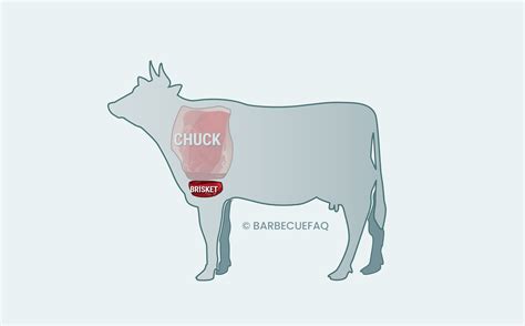 Brisket vs Chuck Roast: The Differences Explained - Barbecue FAQ