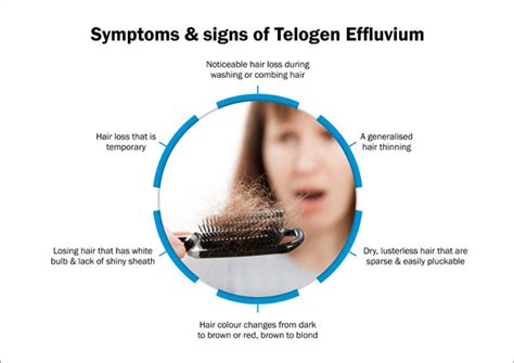 Telogen Effluvium - Symptoms, Causes, Treatment & Prevention | RichFeel