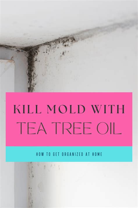 How To Use Tea Tree Oil To Kill Mold