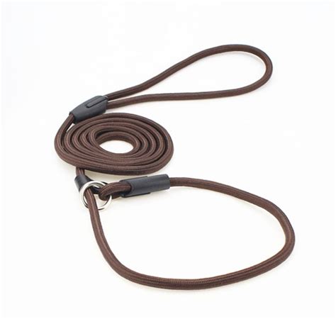 Latest Cost-Free Dog Leash brand Ideas There exists a variety of dog ...