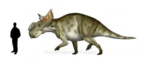 pachyrhinosaurus