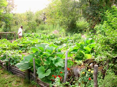 Permaculture Garden | Inhabitat - Green Design, Innovation, Architecture, Green Building