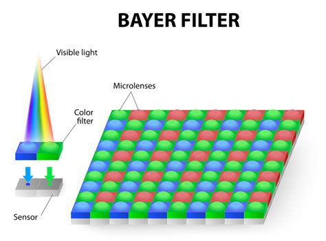 Understanding Digital Camera Sensors (How Do They Work?) - Infrared Conversions, IR ...