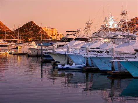 Cabo San Lucas Marina: Restaurants, Shops and Pelicans | Sand In My Suitcase