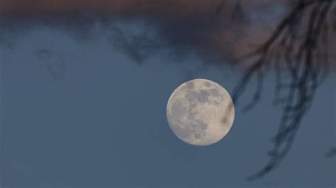 1st full moon of 2023 was a wonderful Wolf Moon worldwide (photos) | Space