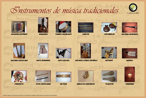 INSTRUMENTOS MUSICALES TRADICIONALES | Biodiversidad Virtual