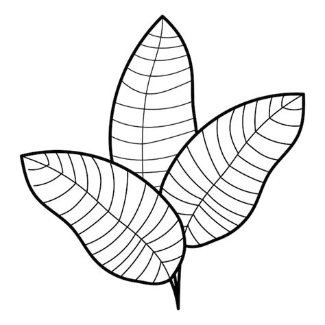 Leaf Clip Art Black White Images - Free Download on Freepik