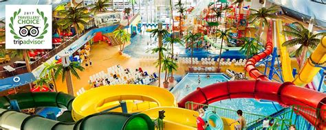 Dive Into These 5 Indoor Water parks in Ontario – Active Parents