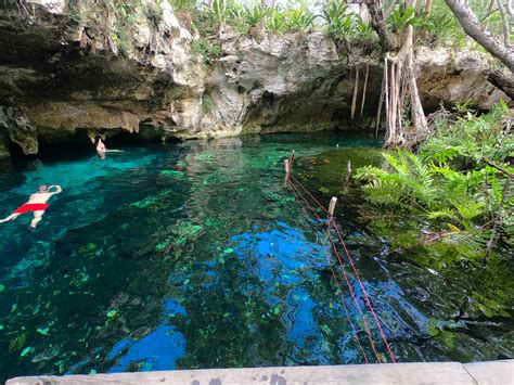 Everything You Need to know Before Visiting Gran Cenote in Tulum