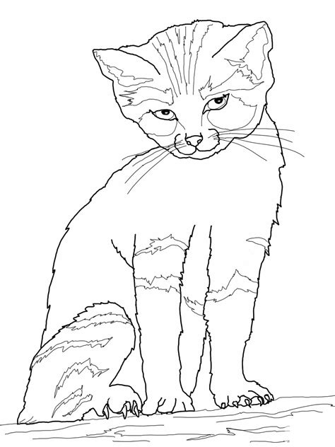 Free Printable Cat Coloring Pages For Kids