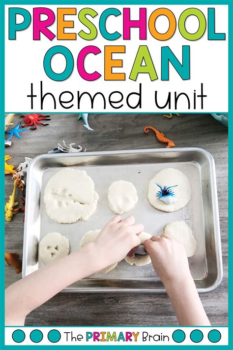 ocean theme preschool activities for fun and learning - pin by peta ...