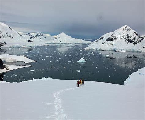 Paradise Harbour | Landmark Information | Swoop Antarctica