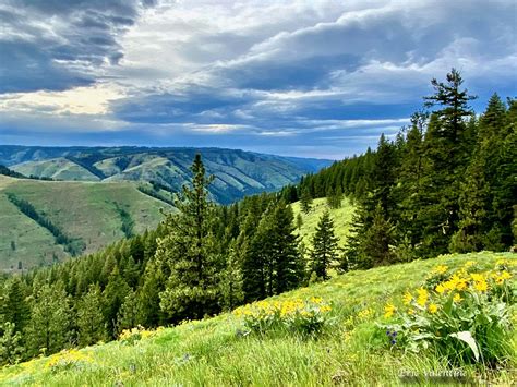 The Whitman Overlook, Umatilla National Forest – Praise Photography