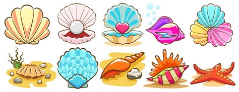 383,198 BEST Seashells IMAGES, STOCK PHOTOS & VECTORS | Adobe Stock