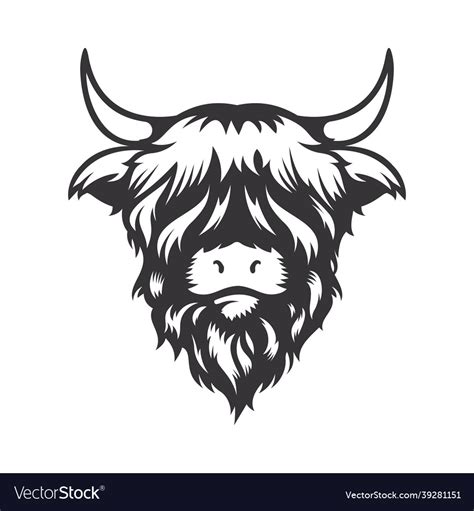 Highland cow head design on white background farm Vector Image