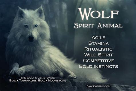 Characteristics of the Wolf As A Spirit Guide – Witches Of The Craft®