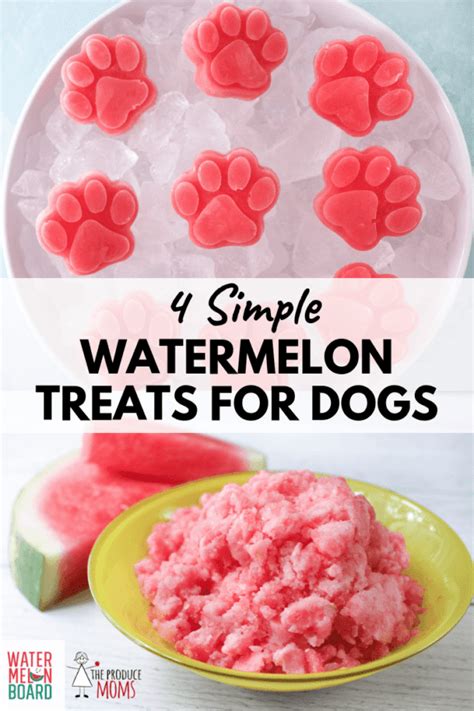 4 Simple Watermelon Dog Treats - The Produce Moms