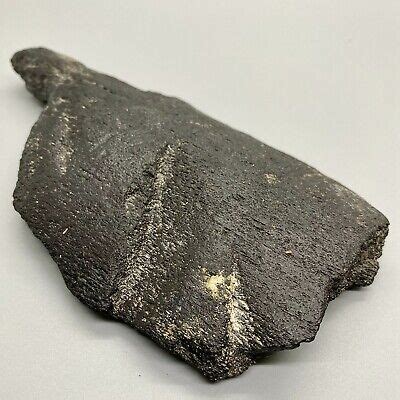 Rare 5.56" Fossil Bone With MEGALODON Shark Tooth Bite Marks - Deep!!! | eBay