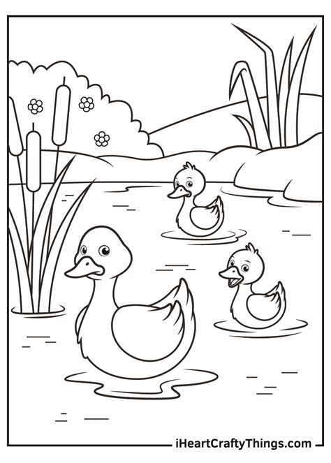 Baby Chicks Ducks Coloring Pages