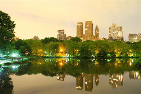 Night time photography in Central Park | Night time photography, New york city central park ...