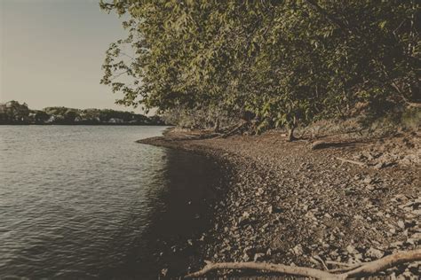 The Hudson River during the 17th-19th centuries: Exploring the Natural ...