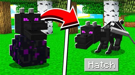 How to HATCH the ENDER DRAGON EGG in Minecraft Tutorial! - Game 24 Giờ