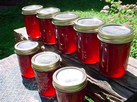 Making Fireweed Jelly • British Columbia Magazine