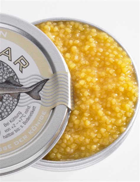 √ Sturgeon Caviar Fish Eggs | Fischlexikon