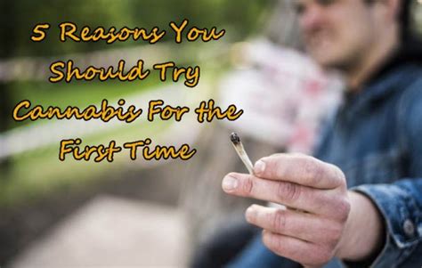 5 Reasons You Should Try Recreational Cannabis