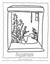 Fish Aquarium Drawing Images For Kids sketch template