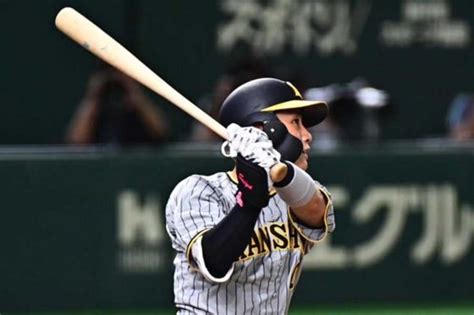 Seiya Kinami's Spectacular Bases Loaded Home Run Leads Hanshin to ...