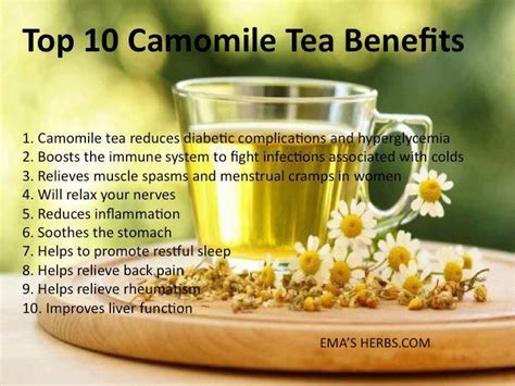 Know what can camomile tea do to your health. :)http://paleoaholic.com ...