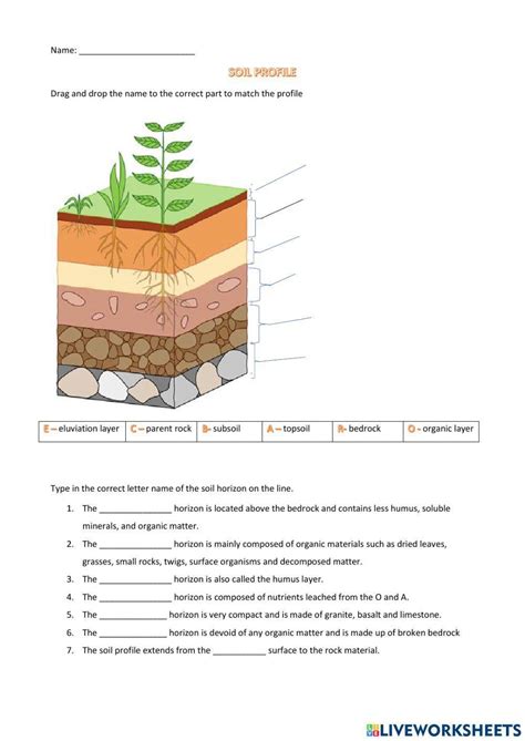 Label and Color the Soil Differentiated Activity for K-2nd Grade - Worksheets Library