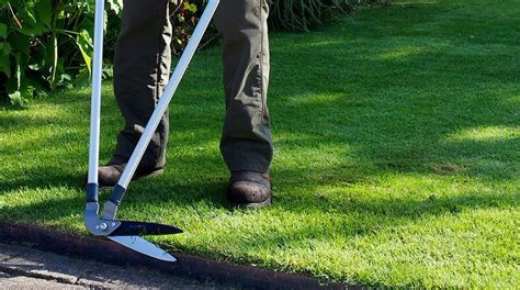 How to Mow the Lawn Correctly: Grass Cutting Tips and Advice