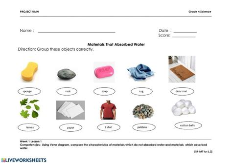 Materials that absorb water Interactive worksheet | Absorbent, Worksheets, Science worksheets