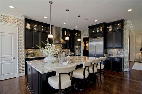 Kitchens With Black Cabinets - Pictures and Ideas