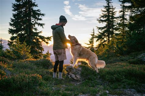 5 Ideas to Keep Your Adventure Dog Active This Summer