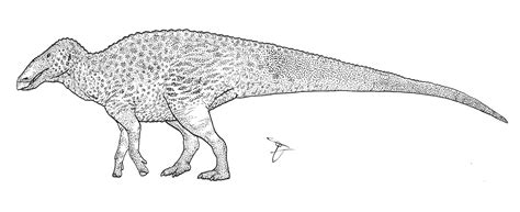 Edmontosaurus Size